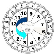 Hiše v horoskopu